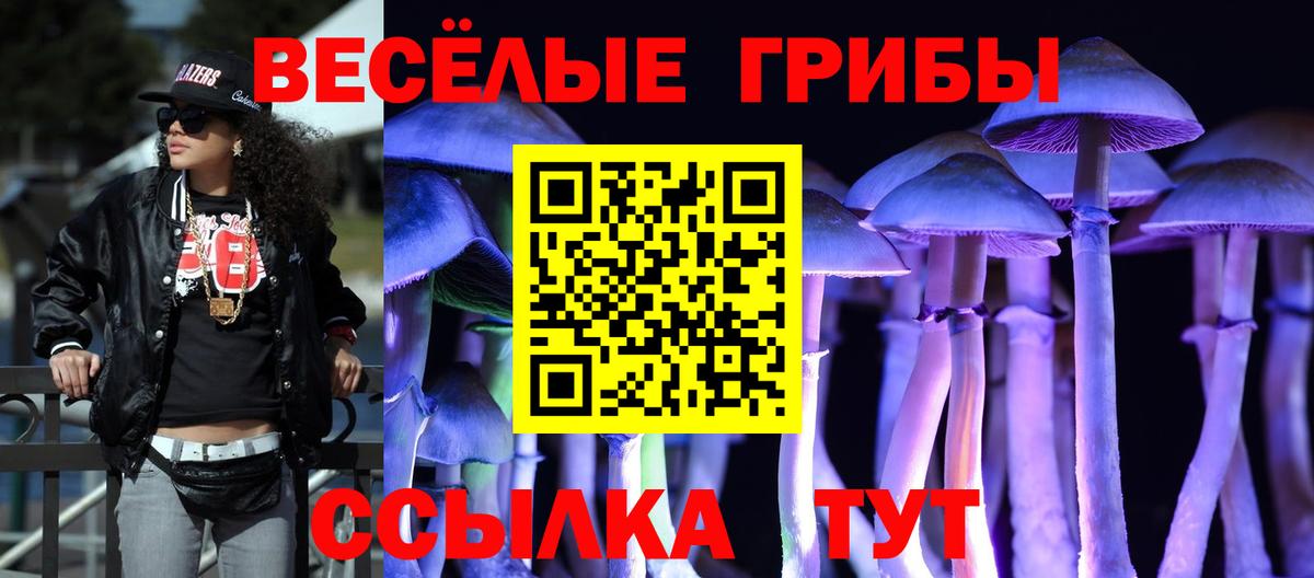 Галлюциногенные грибы мицелий Кандалакша