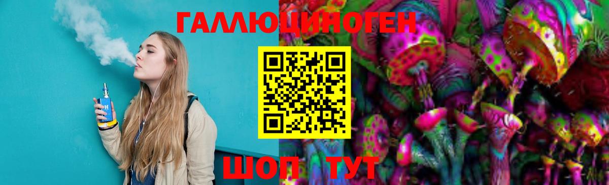 Кандалакша  Галлюциногенные грибы Psilocybe  Вход с VPN 