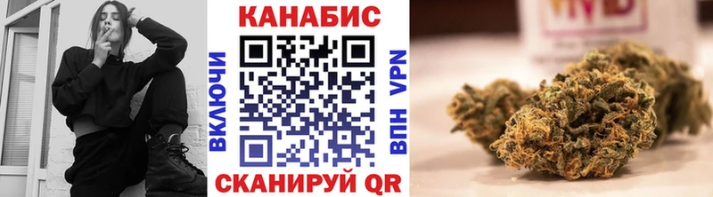 Канабис сатива  Кандалакша 